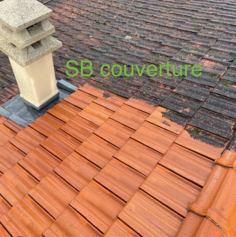 Sbj-couverture - Comment démousser sa toiture en 2025 sans abîmer l'environnement ni exploser son budget ? - Featured Image 1